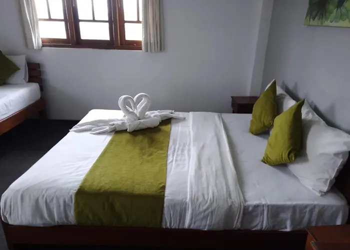 Vishmi'S Rest
