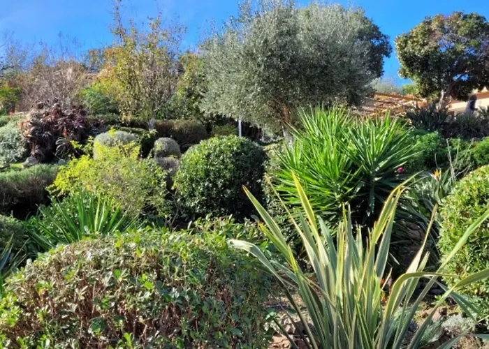 Villa Mimosa Favone