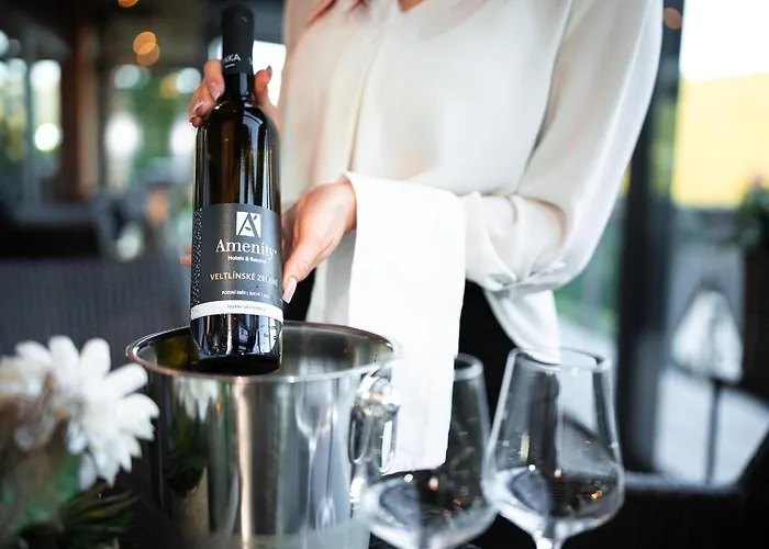 Amenity Hotel & Resort Spindleruv Mlyn