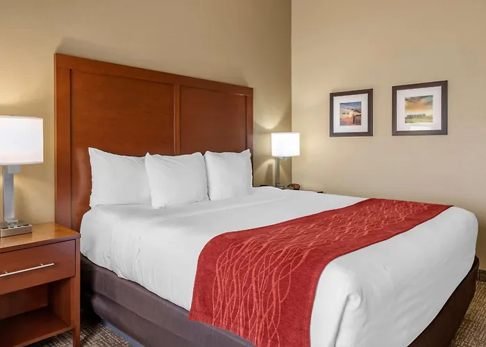 Comfort Inn & Suites Augusta