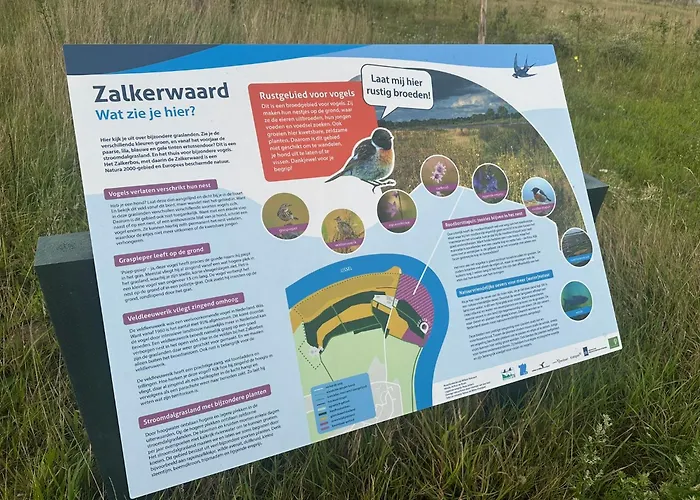 Zalk Blijven Slapen