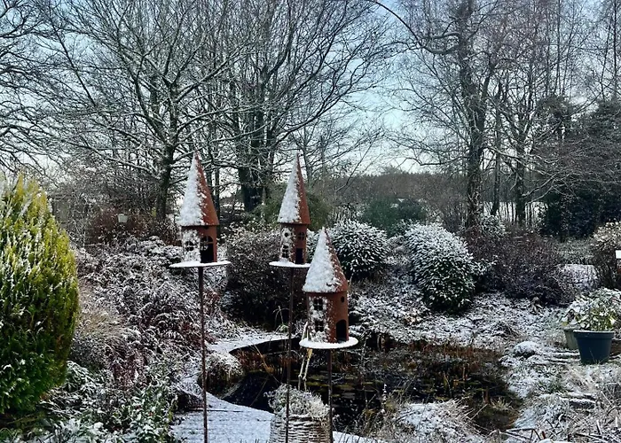 Un matin au jardin