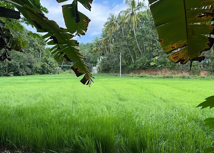 Bakery Family Guest House