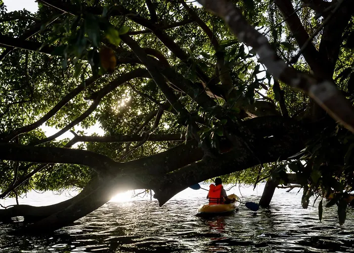 Scenery River Star Hotel