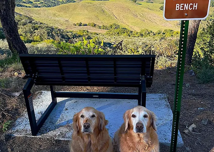 Mountain Top Getaway, Best View In Slo! - Whole House