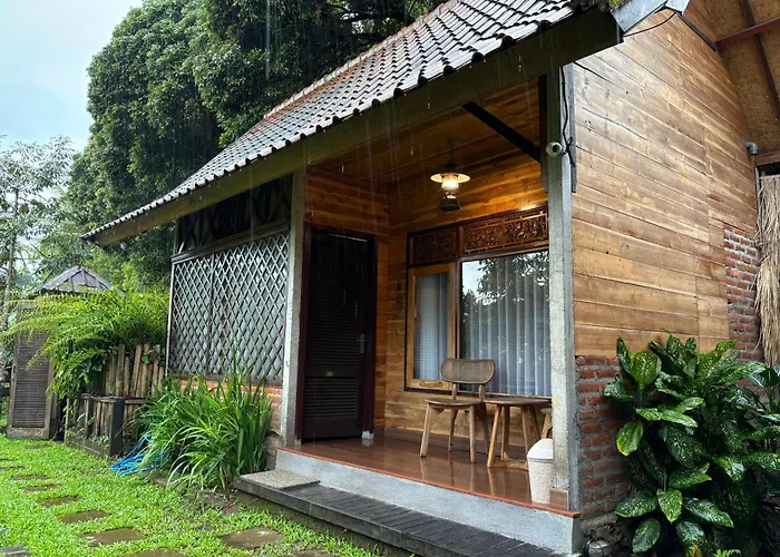Sekumpul Bali Hidden Space