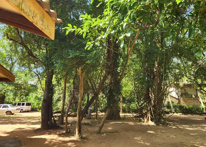 Eco Pavilion
