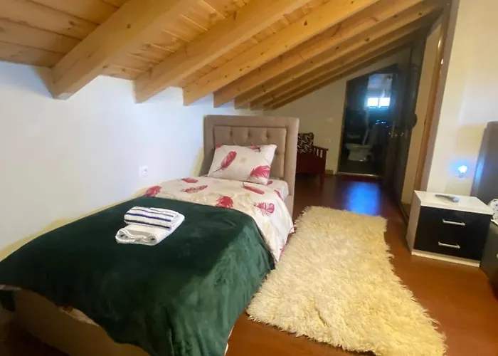 Vila Loris
