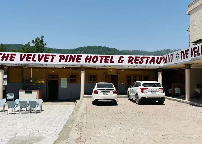 Velvet Pine Hotel