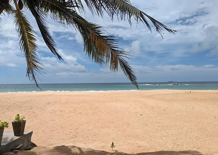 The Vitamin Sea