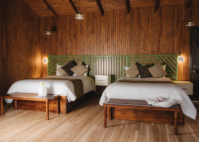 Lauraceas Lodge