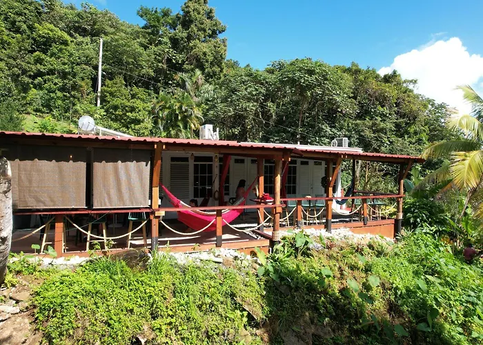 Finca Ki' - Eco Farm Stay Bed & Breakfast - El Yunque Region