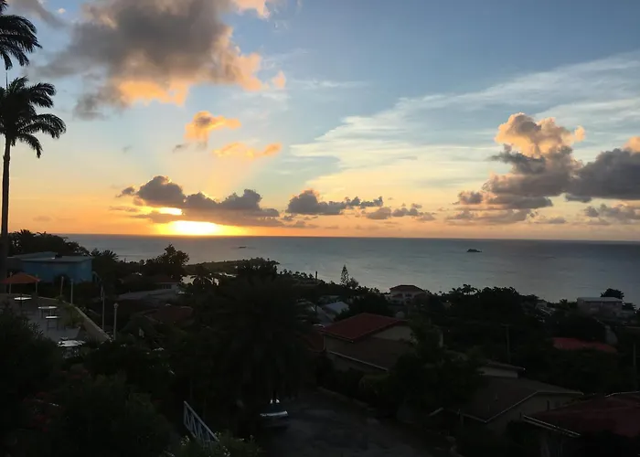 Halcyon Views