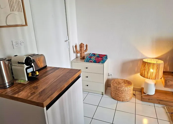 Le Petit Bali - Studio De Standing Avec Wi-Fi & Tv, Proche Tramway