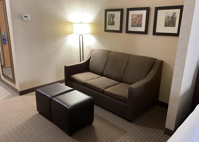 Comfort Suites Hotel And Conference Center