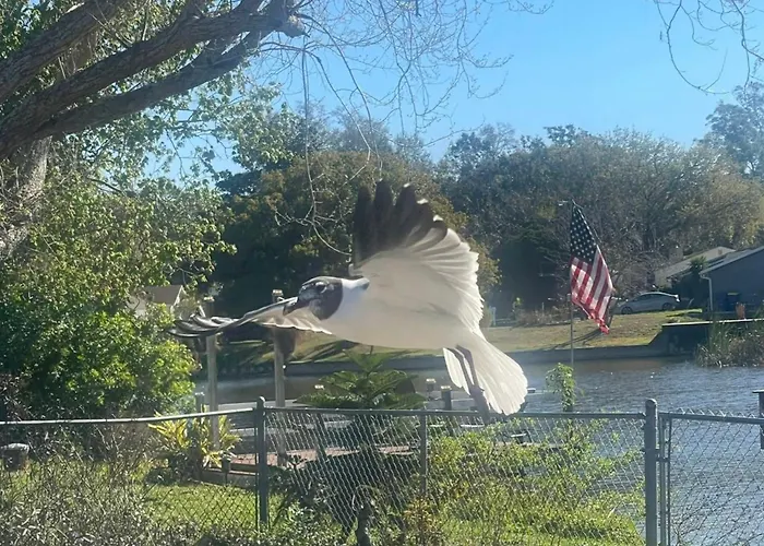 Private Tropical Waterfront Sanctuary W Pool, Hot Tub & An Island! Pet Friendly