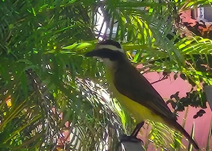 Pousada Caribe
