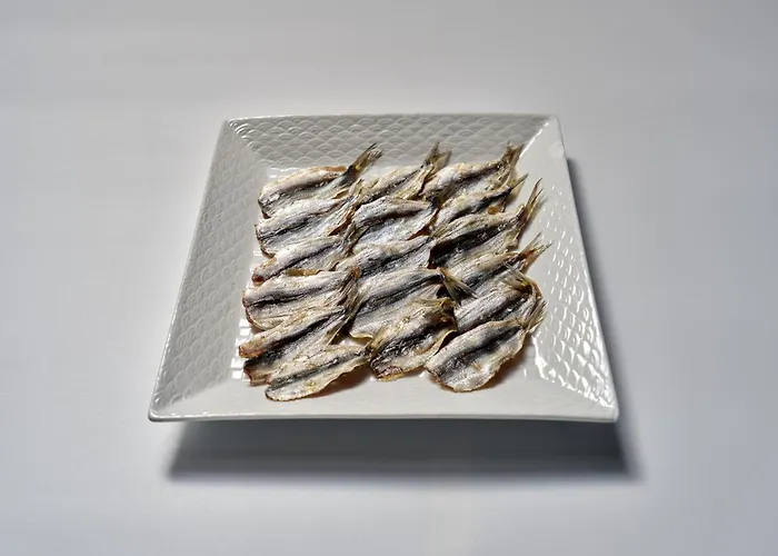 Apa Hotel Kurashiki Ekimae