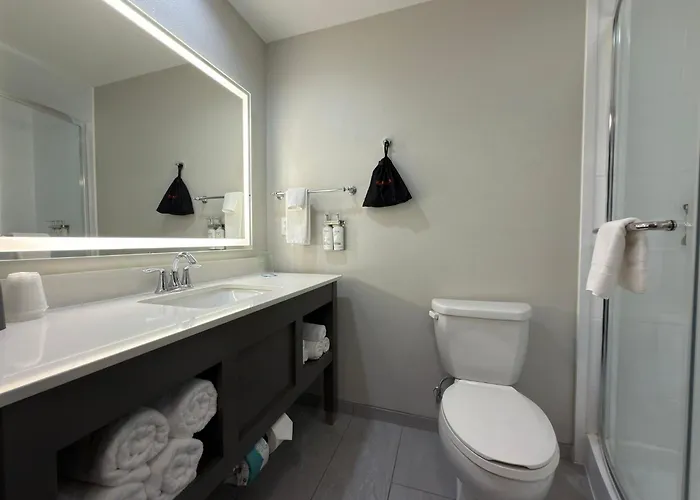 Holiday Inn Midland By Ihg