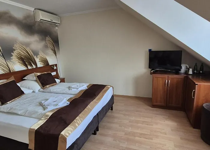 Hotel Patonai