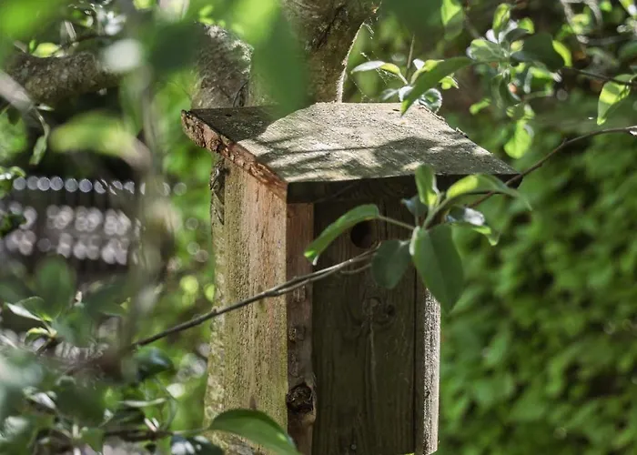 Koppes Molle B&B - Naturnaer Overnatning