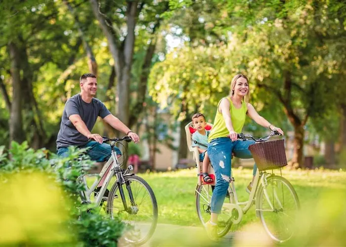 Holiday Inn - The Niu, Flux Passau By Ihg