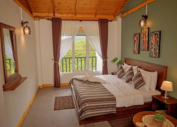 The Mount View Single Tree Hotel