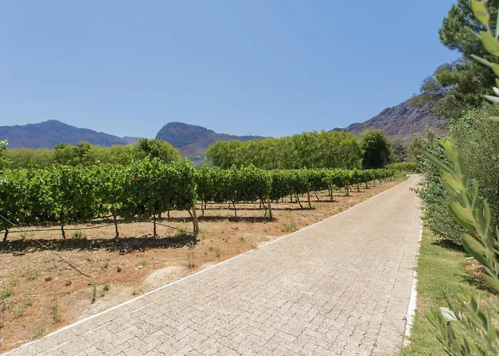 Chambray Estate - The Terraces In The Vines