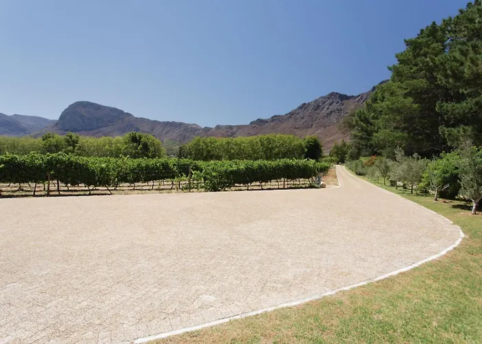 Chambray Estate - The Terraces In The Vines