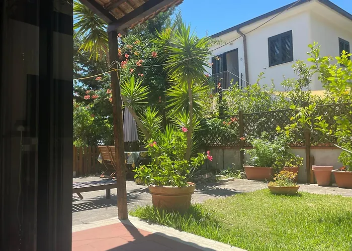Il Pettirosso