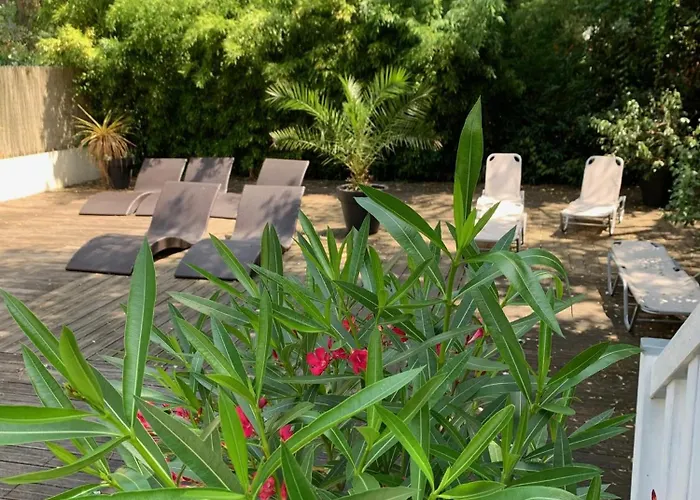 Paloma
