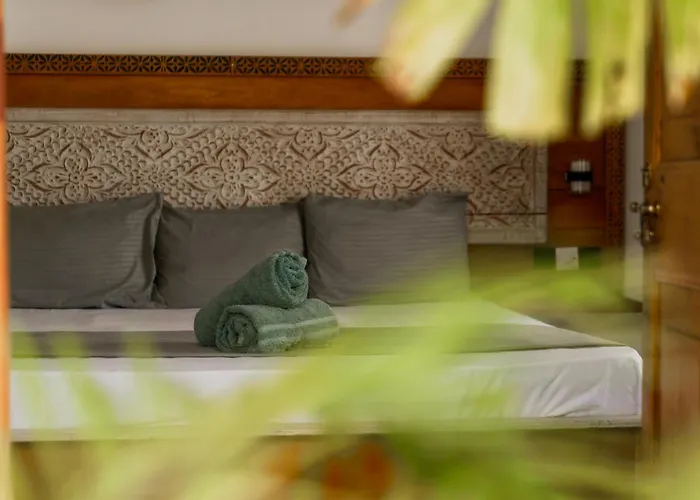 Isola - Surf House