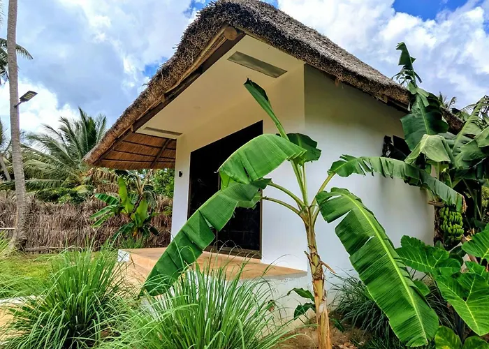 Waterfall Retreat,Pemba Island,Zanzibar
