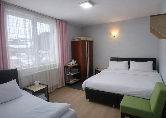 Ari Otel