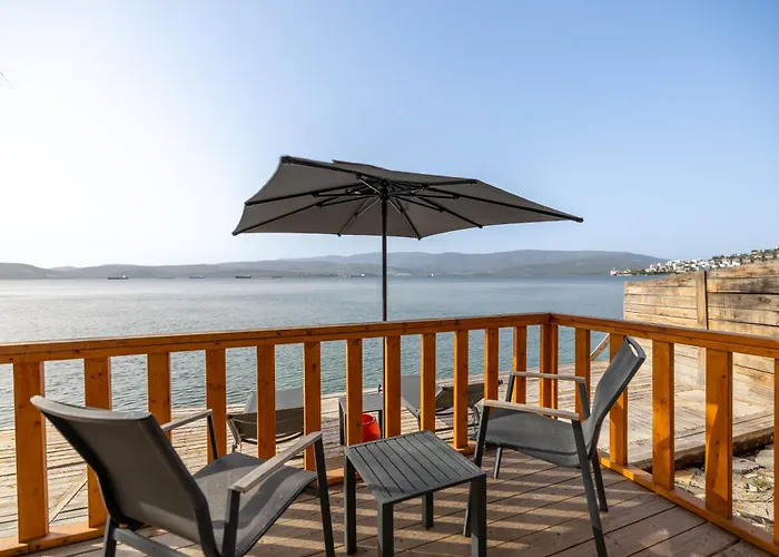 Roseira Bungalov