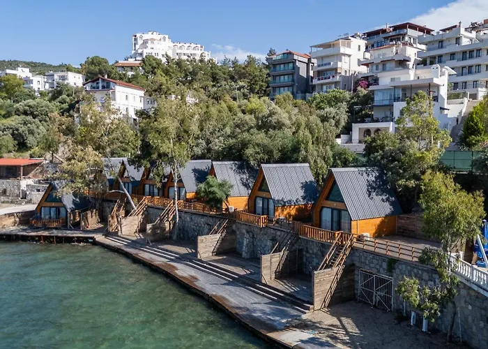 Roseira Bungalov