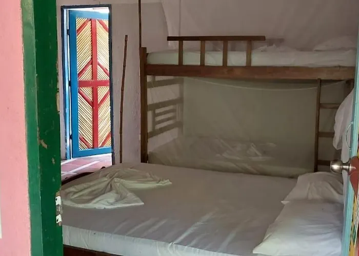 Casa Jungla