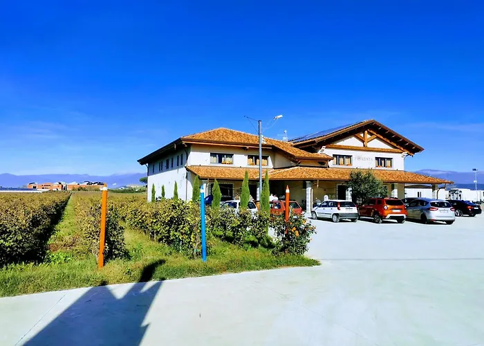 B&B Foresta Vini
