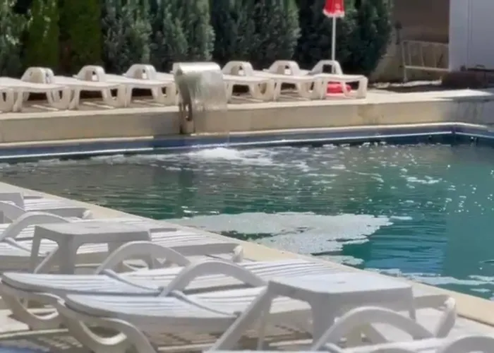 Hotel Ostrov