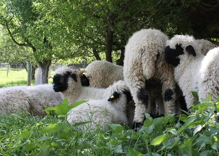 Hotel & Bildungshaus St. Jodern
