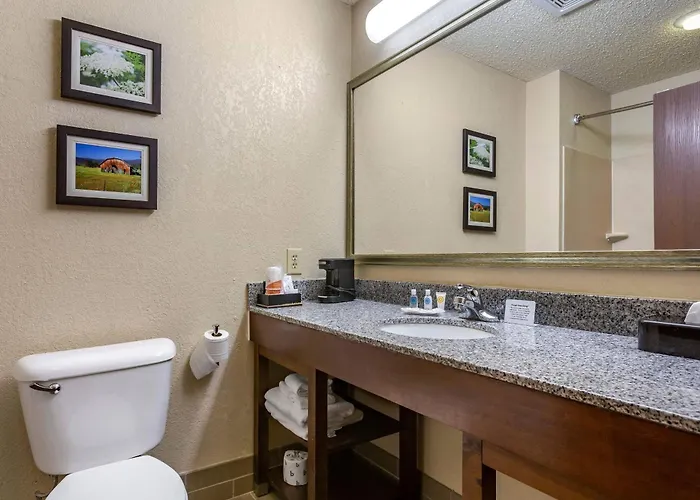 Comfort Suites Jonesboro University Area