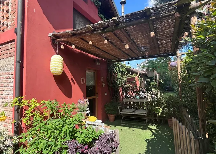 Il Pettirosso