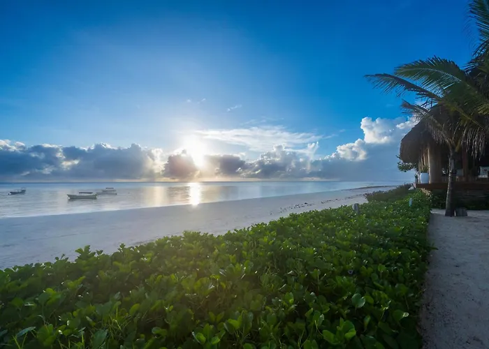 Ocean Boutique Hotel (Adults Only)