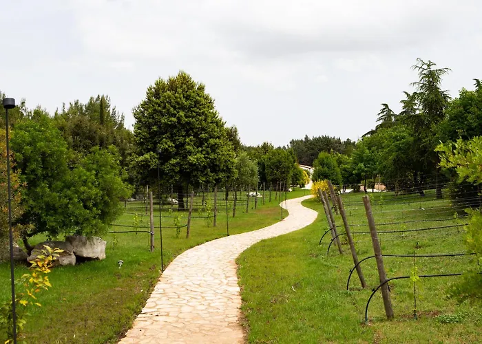 Wine Resort Le Vigne Al Castello
