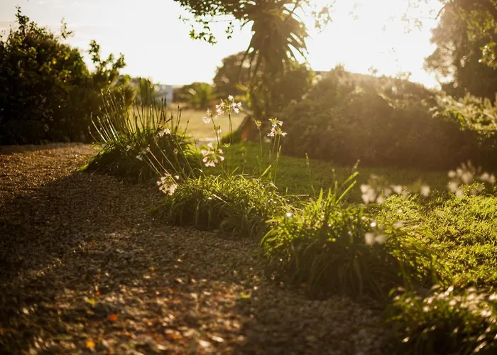 Springfontein River Lodge