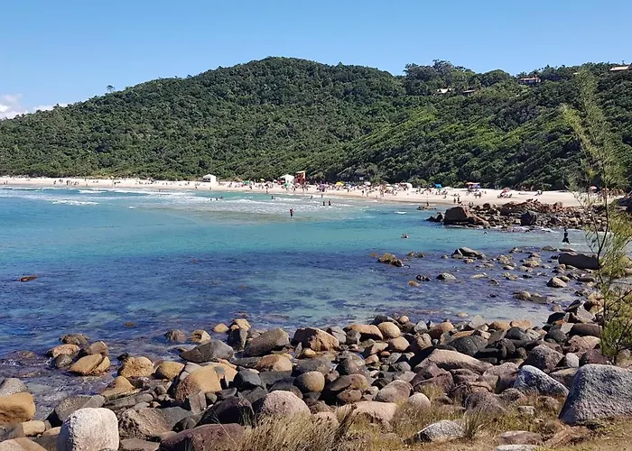 Palo Santo - Praia do Rosa