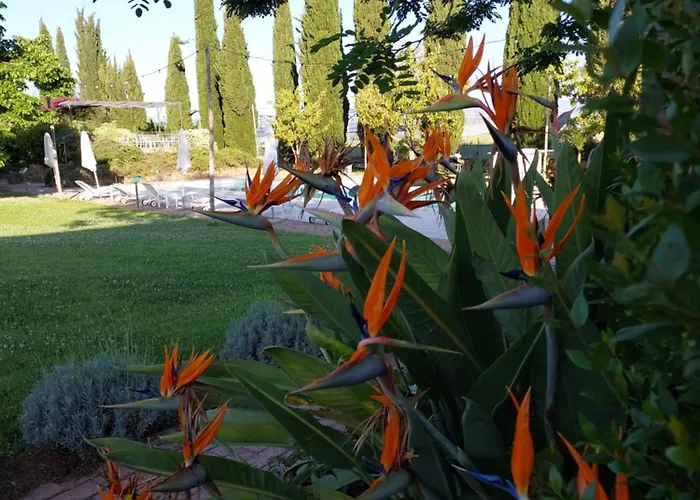 B&B Radici24