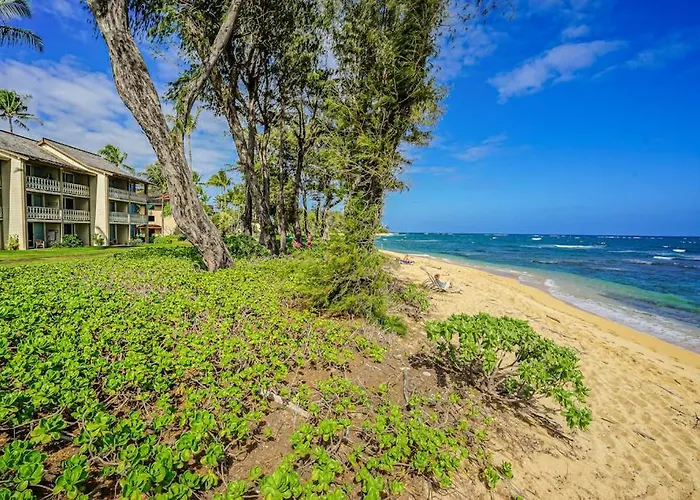 Islander On The Beach 333