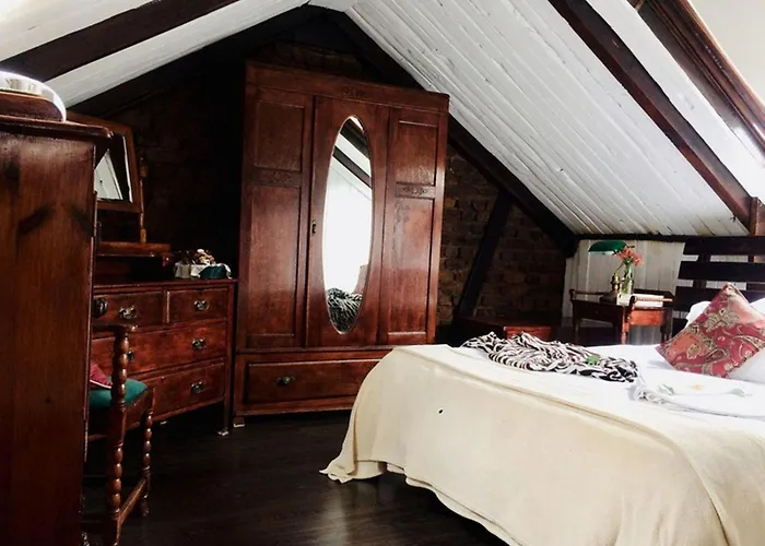 Harfield Guest Villa