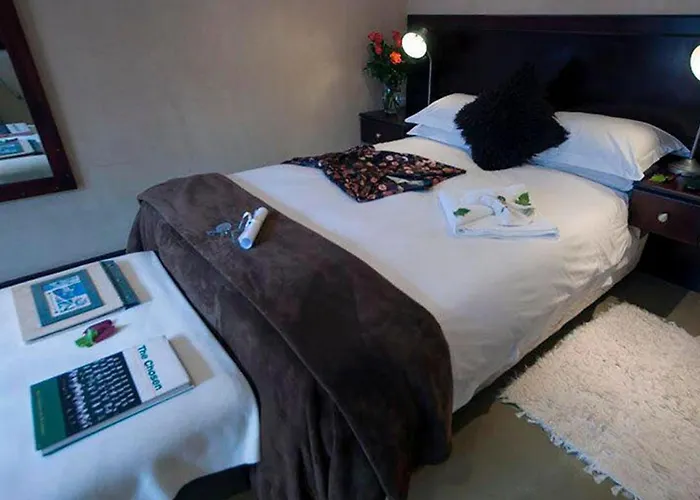 Harfield Guest Villa